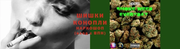 прущие крисы Вяземский