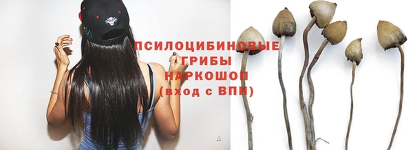 гашик Вязьма