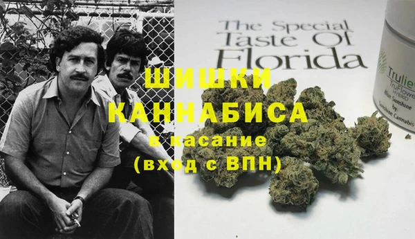 гашик Вязьма