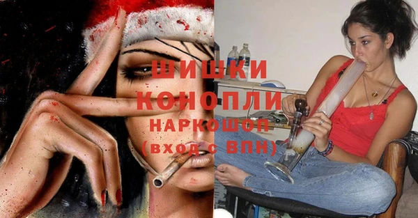 гашик Вязьма