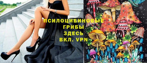 прущие крисы Вяземский
